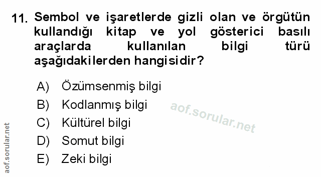 Soru 11