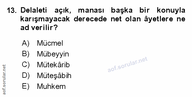 Soru 13