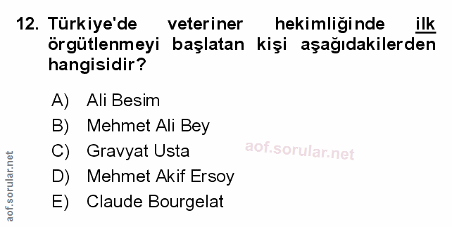 Soru 12