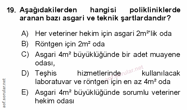 Soru 19