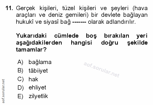 Soru 11