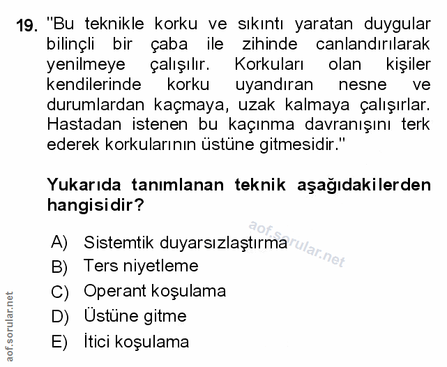 Soru 19