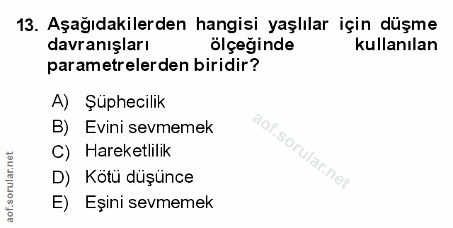 Soru 13