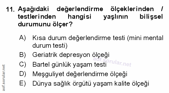 Soru 11