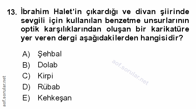 Soru 13