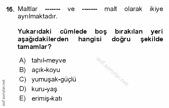 Soru 16