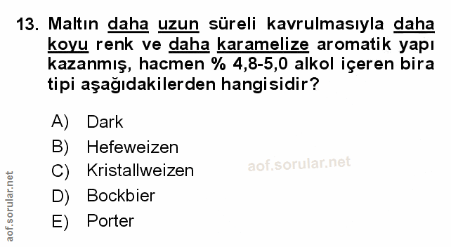 Soru 13