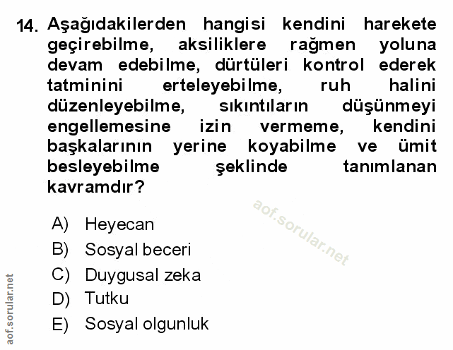 Soru 14