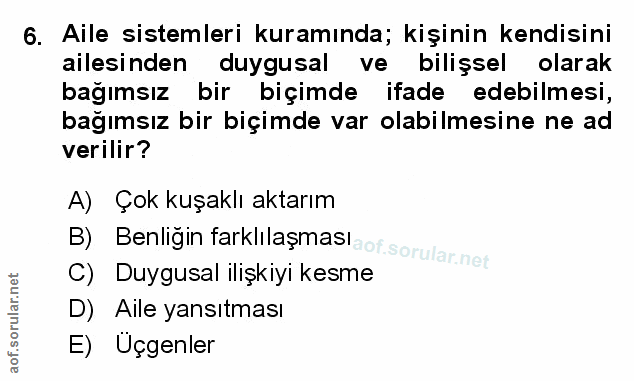Soru 6