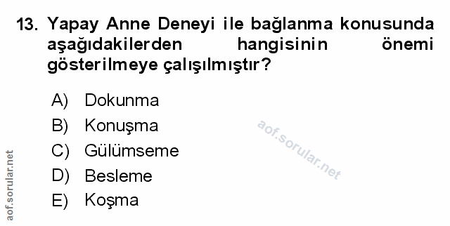 Soru 13