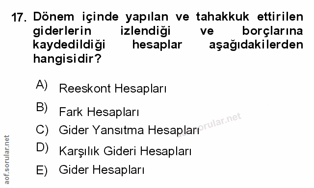 Soru 17