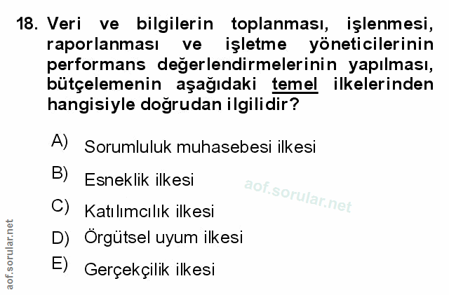 Soru 18