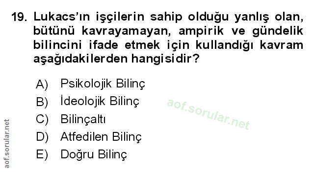 Soru 19