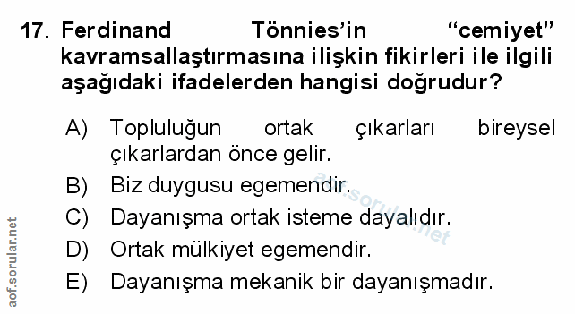 Soru 17