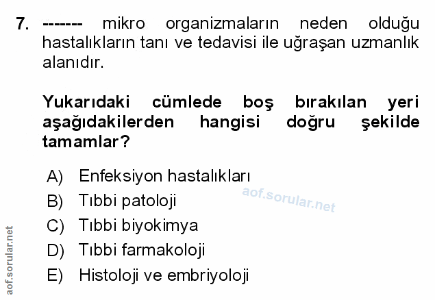 Soru 7
