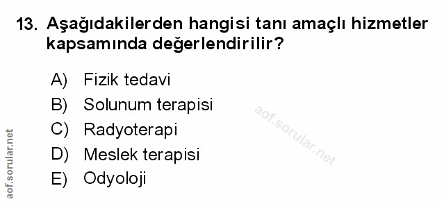 Soru 13