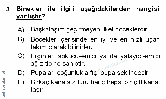 Soru 3