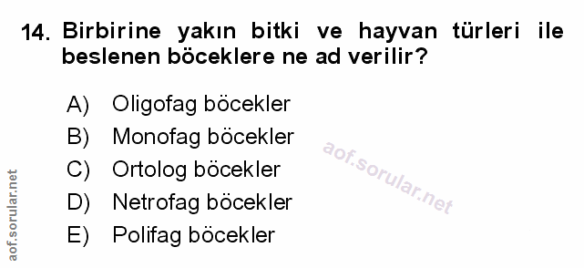 Soru 14