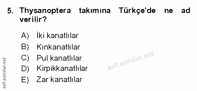 Soru 5