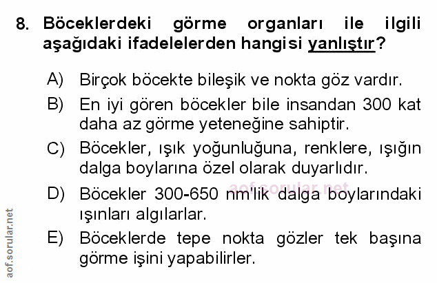 Soru 8
