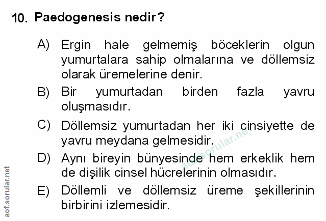 Soru 10