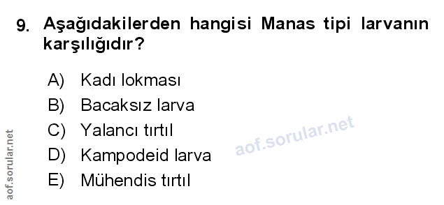 Soru 9