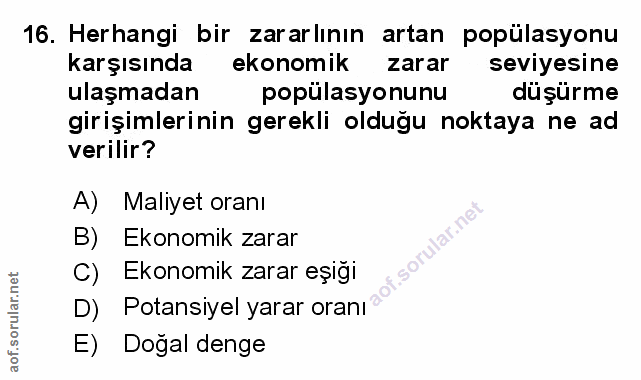Soru 16