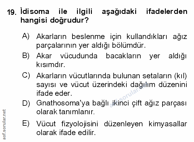 Soru 19