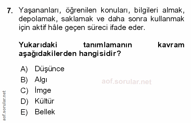 Soru 7
