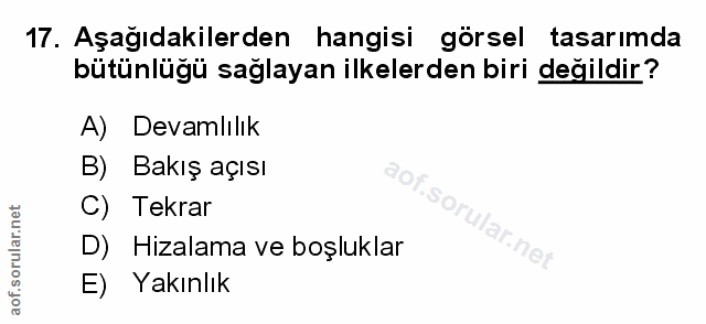 Soru 17
