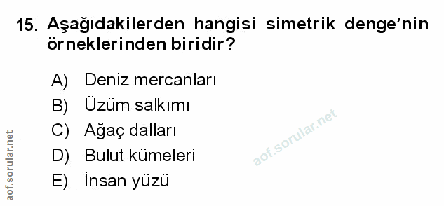 Soru 15