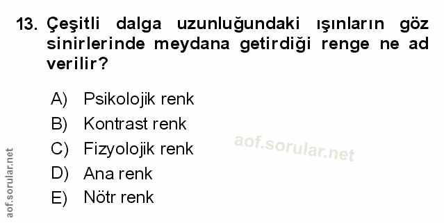 Soru 13