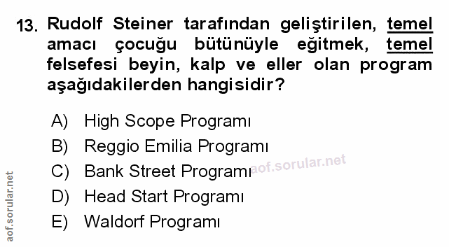 Soru 13