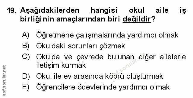 Soru 19