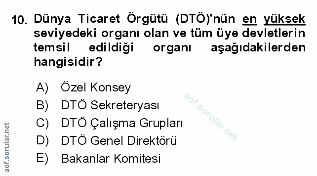 Soru 10