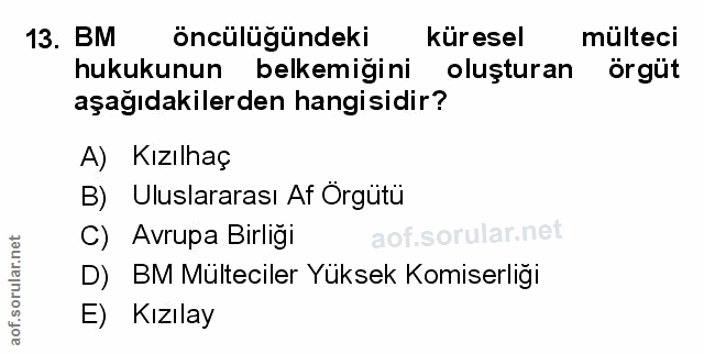 Soru 13