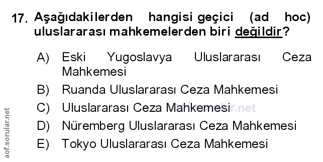 Soru 17