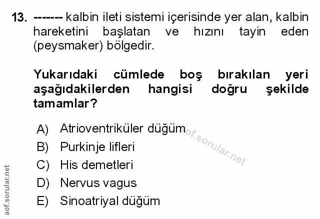Soru 13