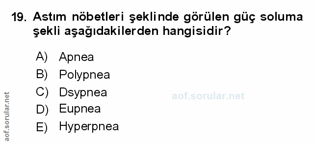 Soru 19