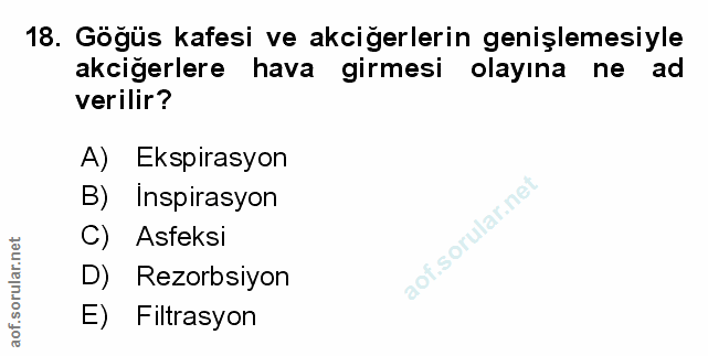 Soru 18