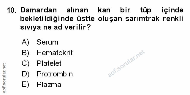 Soru 10