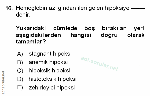 Soru 16