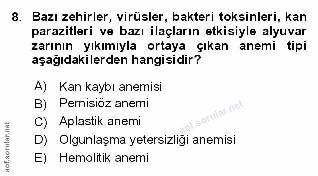 Soru 8