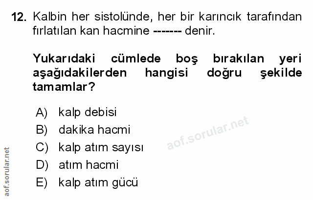 Soru 12