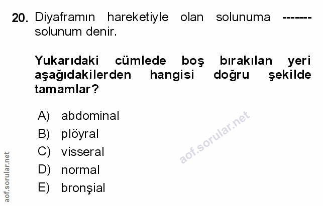 Soru 20