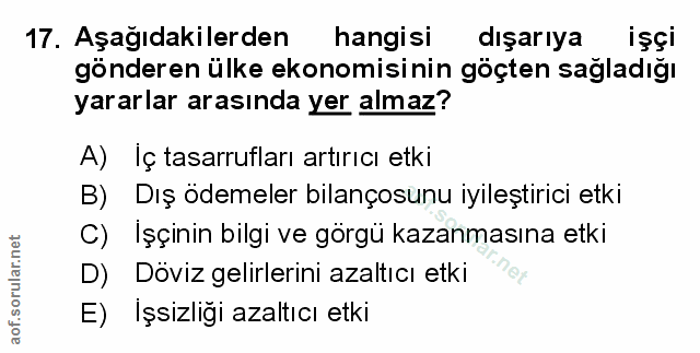 Soru 17