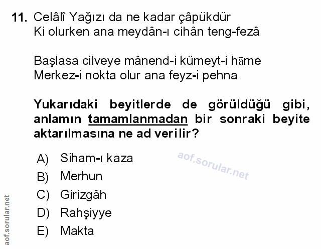 Soru 11