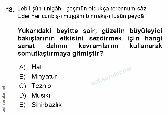 Soru 18