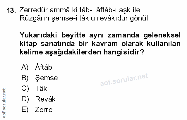 Soru 13