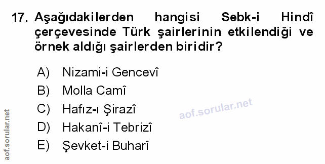 Soru 17